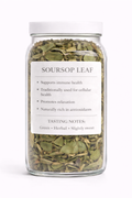 SOURSOP - The Dream Healer